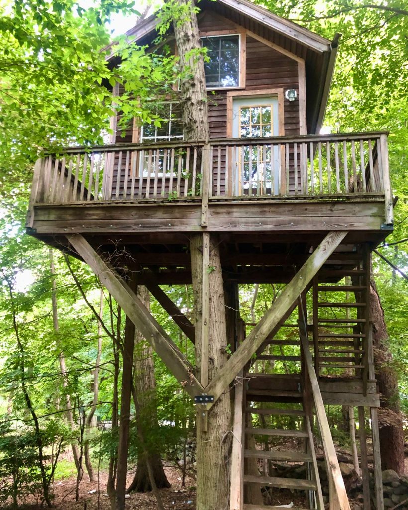 outside-in-treehouse